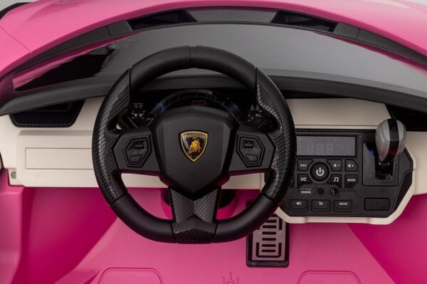 Lamborghini Sian 2-Sitzer Kinder Elektroauto - 24V, Fernbedienung, EVA, Leder in Schwarz oder Pink